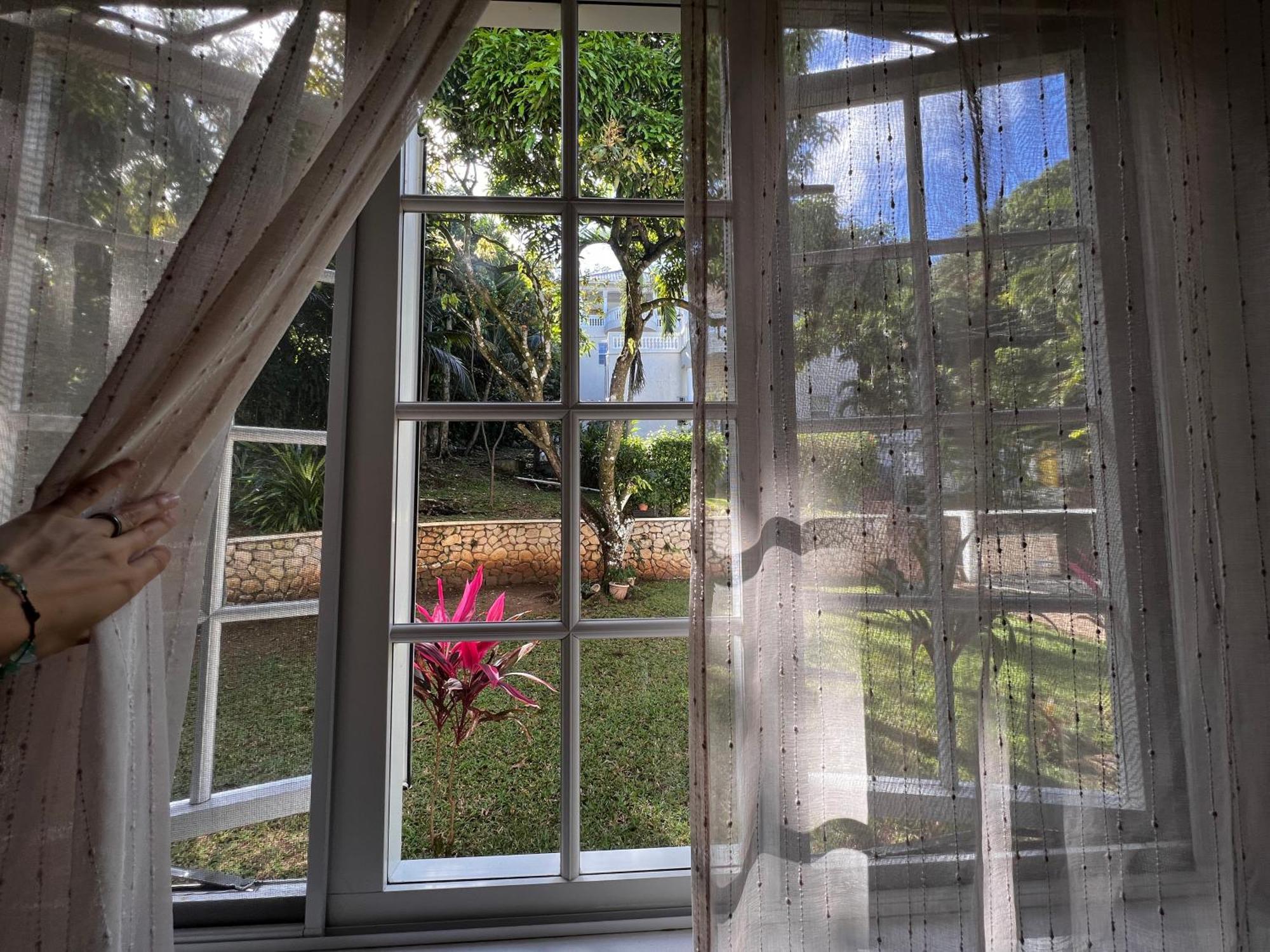 All Nations Guest House Port Antonio Luaran gambar